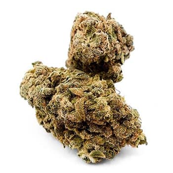 Grossiste CBD suisse à Lausanne. weed AC/DC/EU cannabis légale, vente en gros
