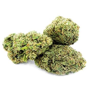 Grossiste CBD suisse à Lausanne. weed AC/DC cannabis légal, vente en gros