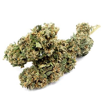 Grossiste CBD suisse à Lausanne. weed Ball kush cannabis légal, vente en gros