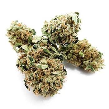 Grossiste CBD suisse à Lausanne. weed Hawaiian cannabis légal, vente en gros