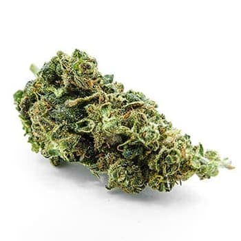 Grossiste CBD suisse à Lausanne. weed Cannatonic cannabis légal, vente en gros