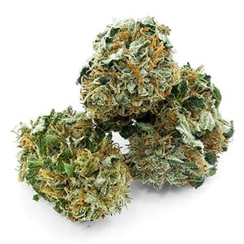 Grossiste CBD suisse à Lausanne. weed CBD THERAPY cannabis légal, vente en gros