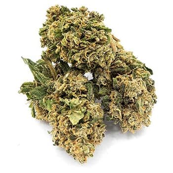 Grossiste CBD suisse à Lausanne. weed Charlotte Web cannabis légal, vente en gros