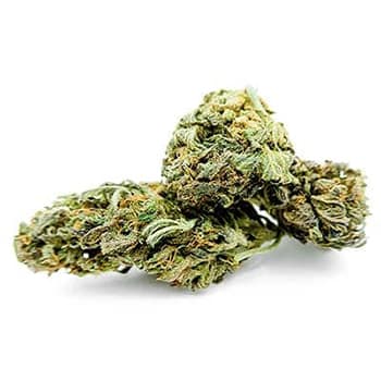 Grossiste CBD suisse à Lausanne. weed Dinamed cannabis légal, vente en gros