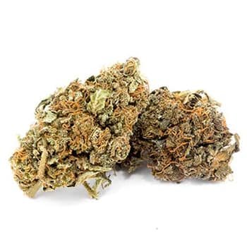 Grossiste CBD suisse à Lausanne. weed Epsilon 68 cannabis légal, vente en gros