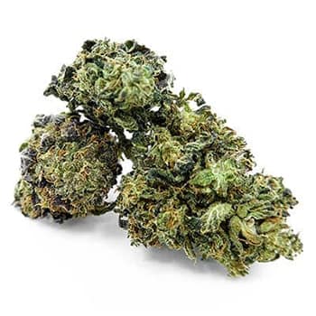 Grossiste CBD suisse à Lausanne. weed Grapefruit cannabis légal, vente en gros