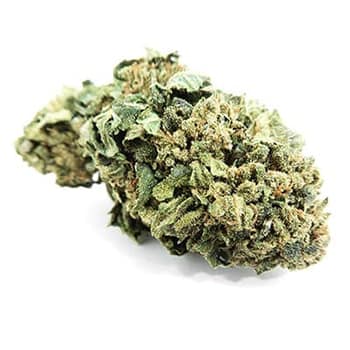 Grossiste CBD suisse à Lausanne. weed Hawaiian cannabis légal, vente en gros