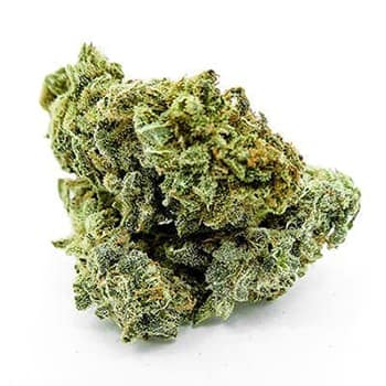 Grossiste CBD suisse à Lausanne. weed Green Flash cannabis légal, vente en gros