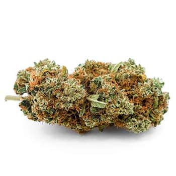Grossiste CBD suisse à Lausanne. weed Green Mary EU cannabis légal, vente en gros