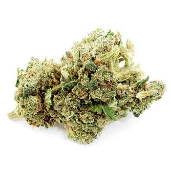 Grossiste CBD suisse à Lausanne. weed Green Mary cannabis légal, vente en gros