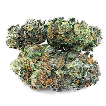 Grossiste CBD suisse à Lausanne. weed Hawaiian cannabis légal, vente en gros