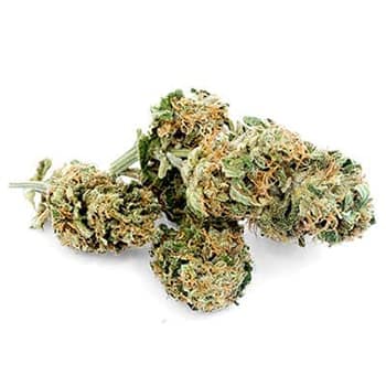 Grossiste CBD suisse à Lausanne. weed Lemon Widow cannabis légal, vente en gros