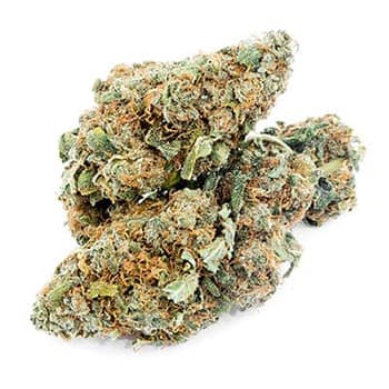 Grossiste CBD suisse à Lausanne. weed Lemon Widow cannabis légal, vente en gros
