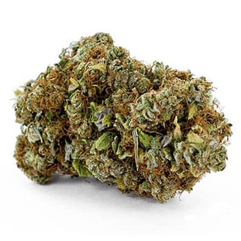 Grossiste CBD suisse à Lausanne. weed POWER FLOWER cannabis légal, vente en gros