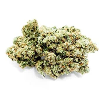 Grossiste CBD suisse à Lausanne. weed Silver Haze cannabis légal, vente en gros