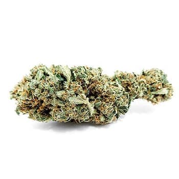 Grossiste CBD suisse à Lausanne. weed Sour widow cannabis légal, vente en gros