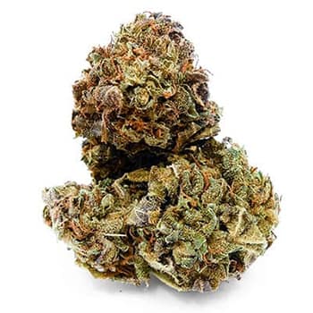 Grossiste CBD suisse à Lausanne. weed Strawberry King cannabis légal, vente en gros