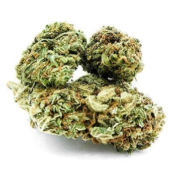 Grossiste CBD suisse à Lausanne. weed Strawberry cannabis légal, vente en gros