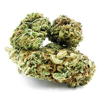 Grossiste CBD suisse à Lausanne. weed Super Silver cannabis légal, vente en gros