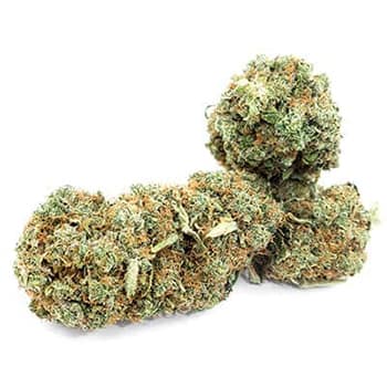Grossiste CBD suisse à Lausanne. weed Lemon Widow cannabis légal, vente en gros