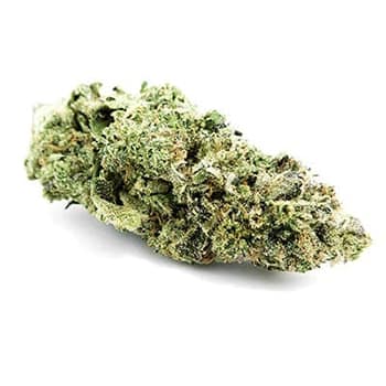 Grossiste CBD suisse à Lausanne. weed Hawaiian cannabis légal, vente en gros