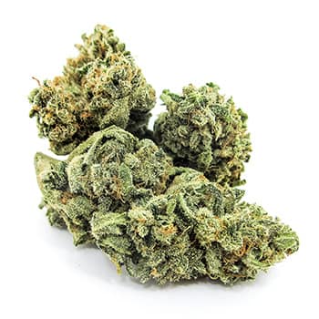 Grossiste CBD suisse à Lausanne. weed V1 cannabis légal, vente en gros